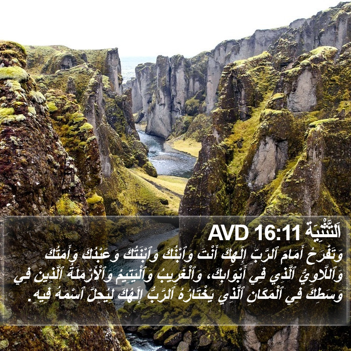 اَلتَّثْنِيَة 16:11 AVD Bible Study