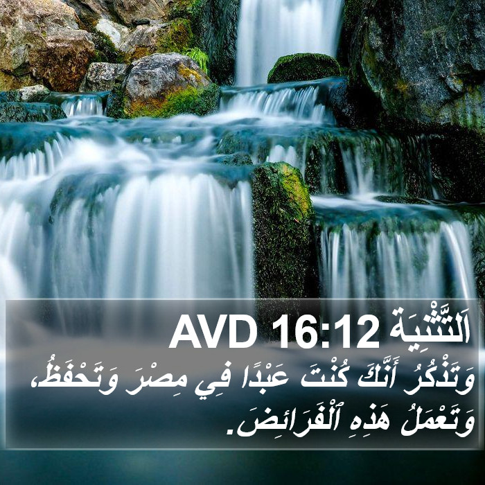 اَلتَّثْنِيَة 16:12 AVD Bible Study