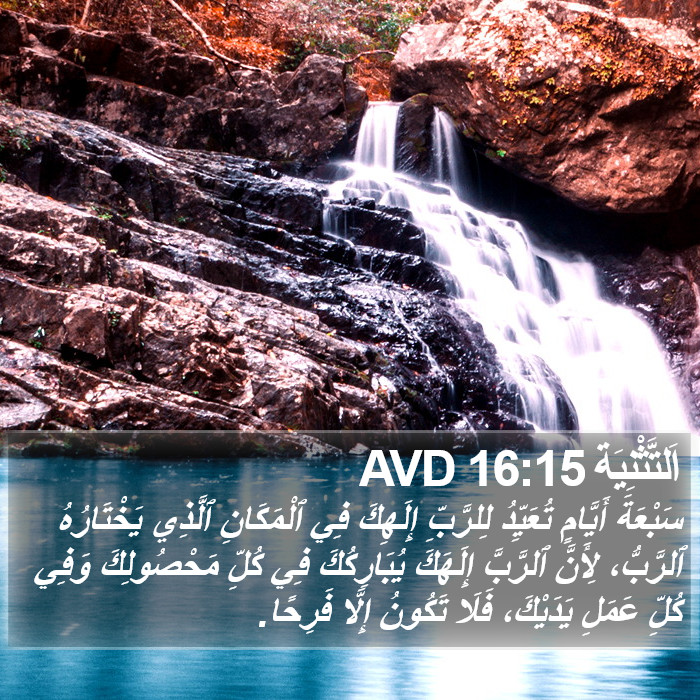 اَلتَّثْنِيَة 16:15 AVD Bible Study