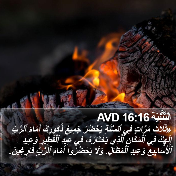 اَلتَّثْنِيَة 16:16 AVD Bible Study