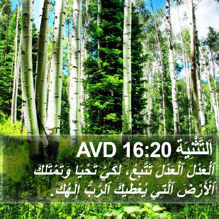 اَلتَّثْنِيَة 16:20 AVD Bible Study