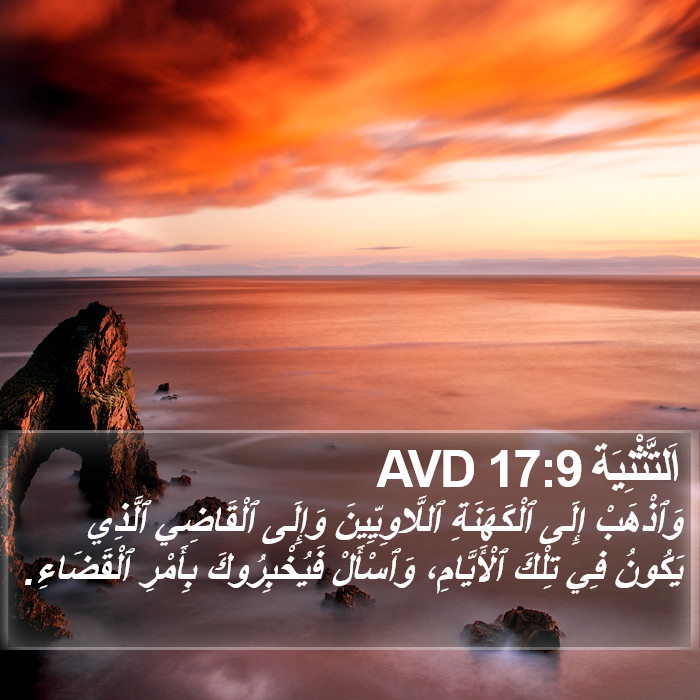 اَلتَّثْنِيَة 17:9 AVD Bible Study