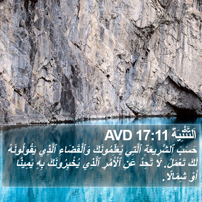 اَلتَّثْنِيَة 17:11 AVD Bible Study