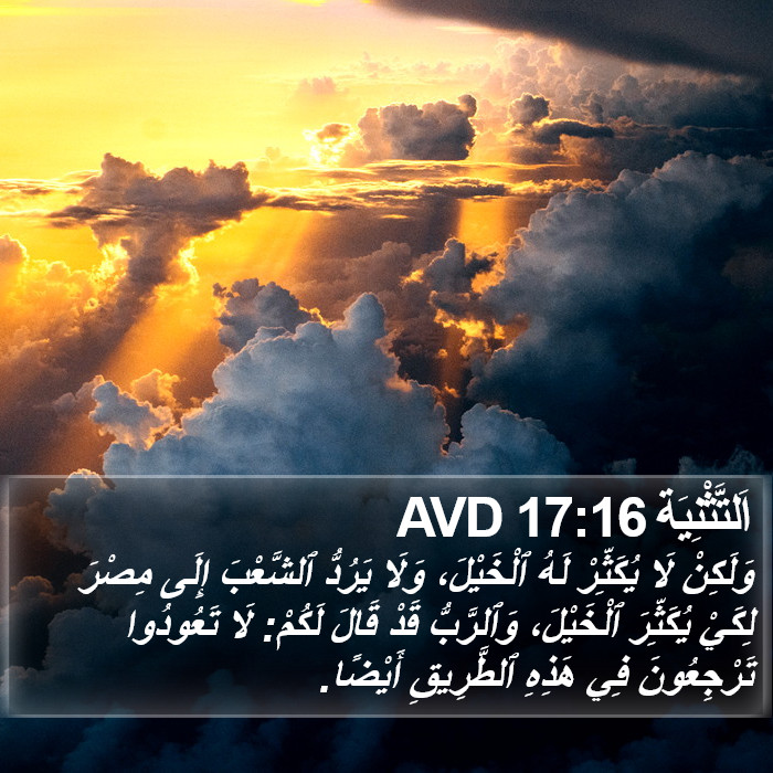 اَلتَّثْنِيَة 17:16 AVD Bible Study