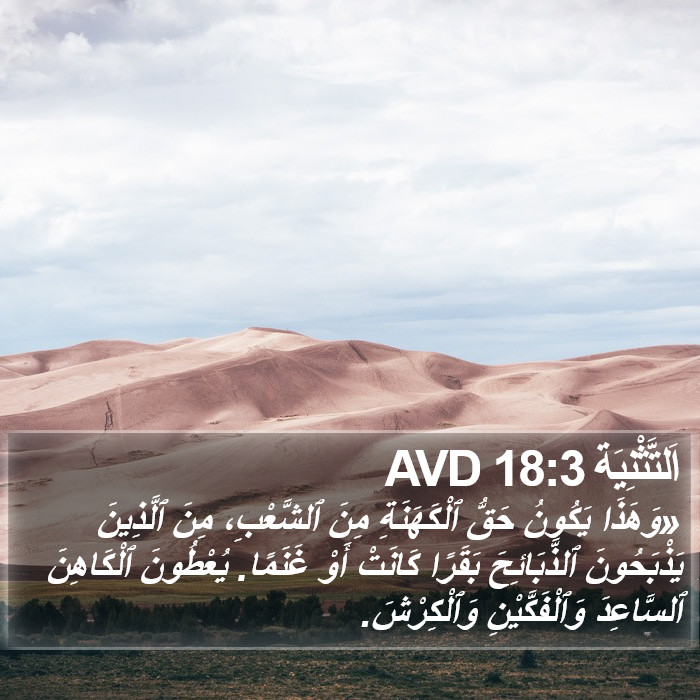 اَلتَّثْنِيَة 18:3 AVD Bible Study