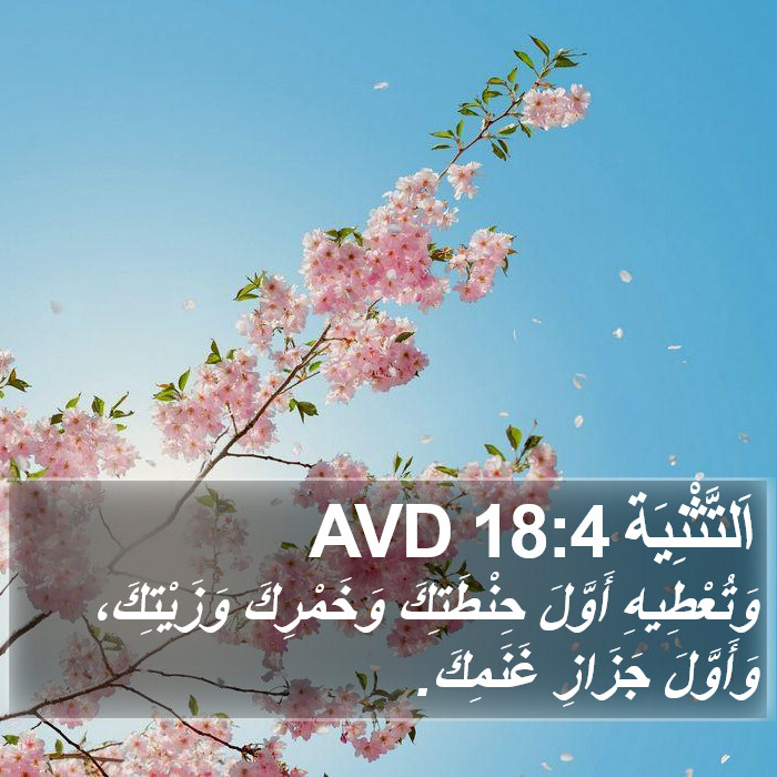 اَلتَّثْنِيَة 18:4 AVD Bible Study
