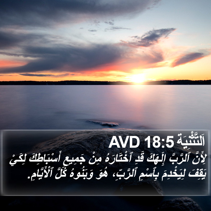 اَلتَّثْنِيَة 18:5 AVD Bible Study