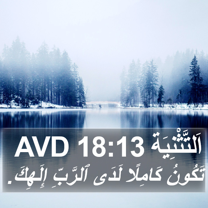 اَلتَّثْنِيَة 18:13 AVD Bible Study