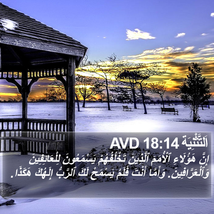 اَلتَّثْنِيَة 18:14 AVD Bible Study