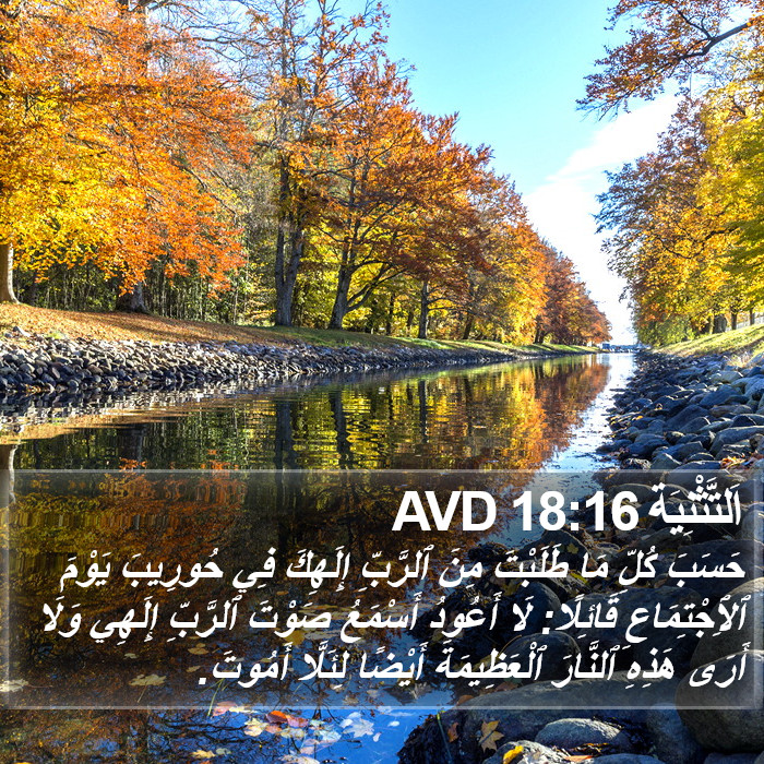 اَلتَّثْنِيَة 18:16 AVD Bible Study