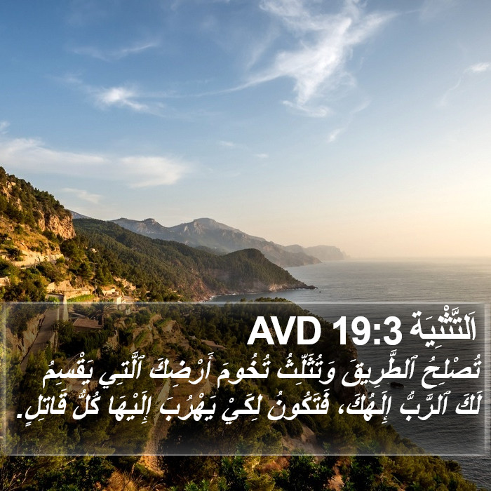 اَلتَّثْنِيَة 19:3 AVD Bible Study