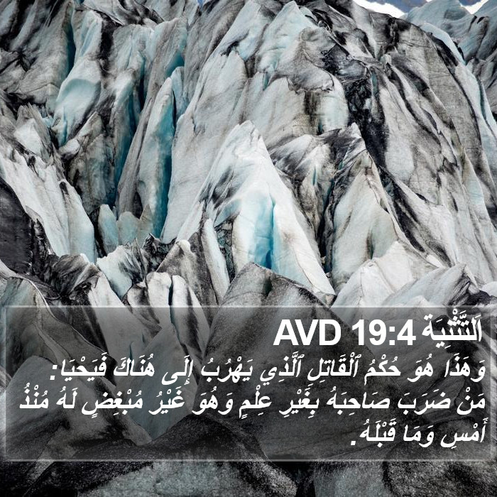 اَلتَّثْنِيَة 19:4 AVD Bible Study