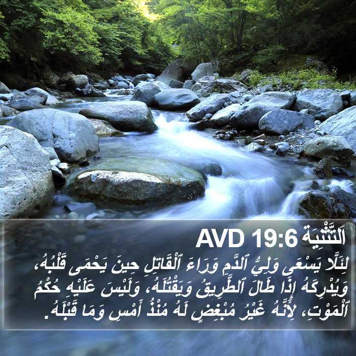 اَلتَّثْنِيَة 19:6 AVD Bible Study