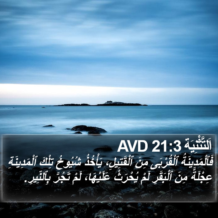 اَلتَّثْنِيَة 21:3 AVD Bible Study