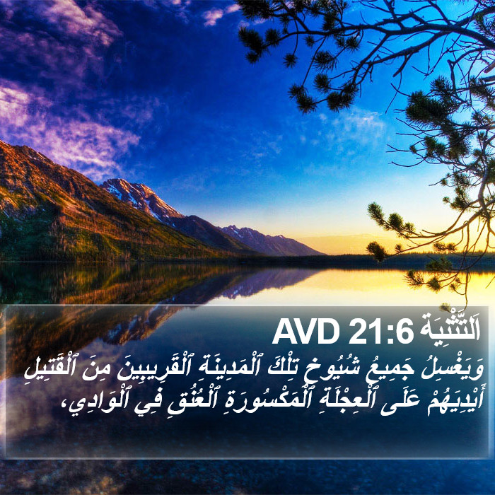 اَلتَّثْنِيَة 21:6 AVD Bible Study