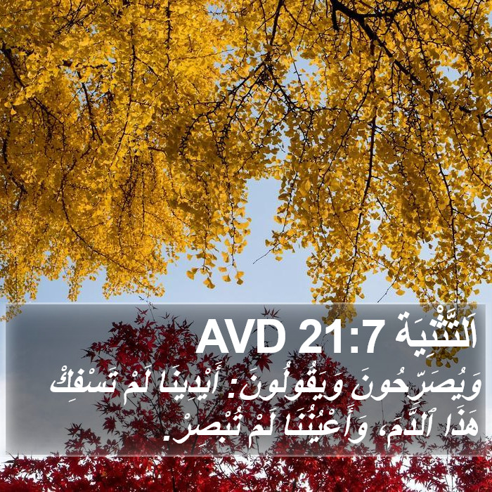 اَلتَّثْنِيَة 21:7 AVD Bible Study