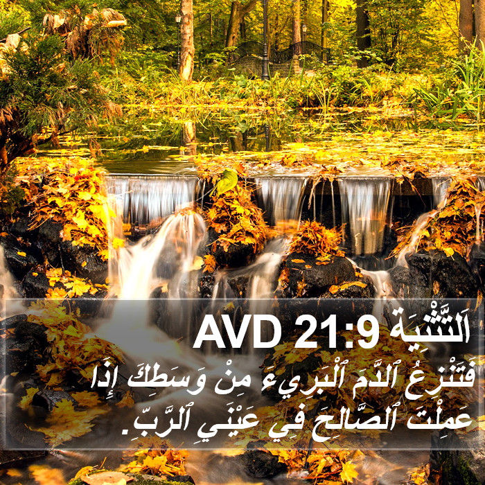 اَلتَّثْنِيَة 21:9 AVD Bible Study