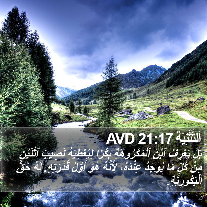 اَلتَّثْنِيَة 21:17 AVD Bible Study