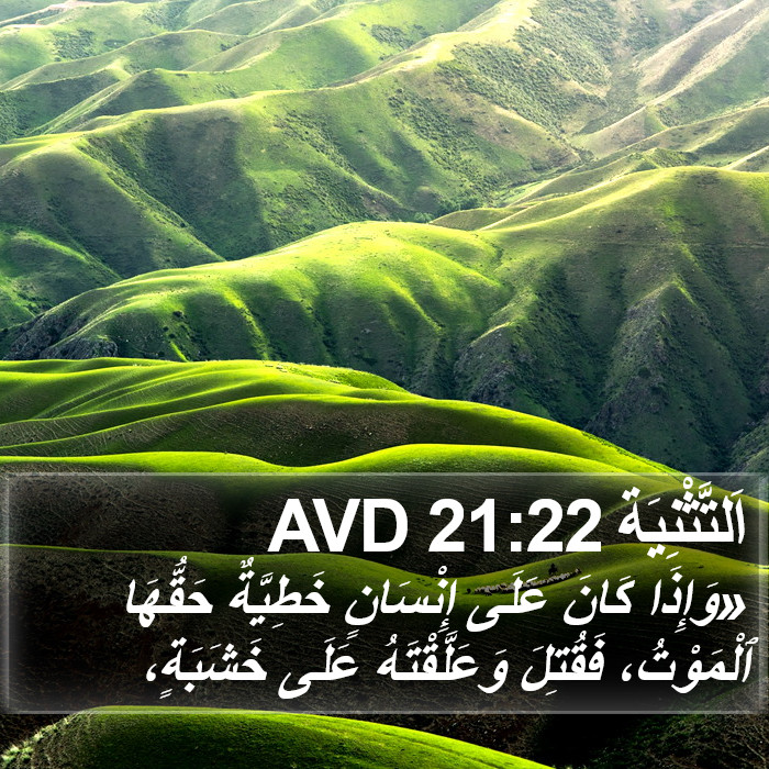 اَلتَّثْنِيَة 21:22 AVD Bible Study