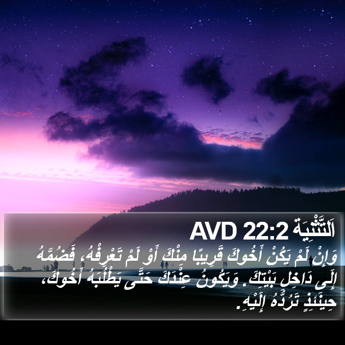اَلتَّثْنِيَة 22:2 AVD Bible Study