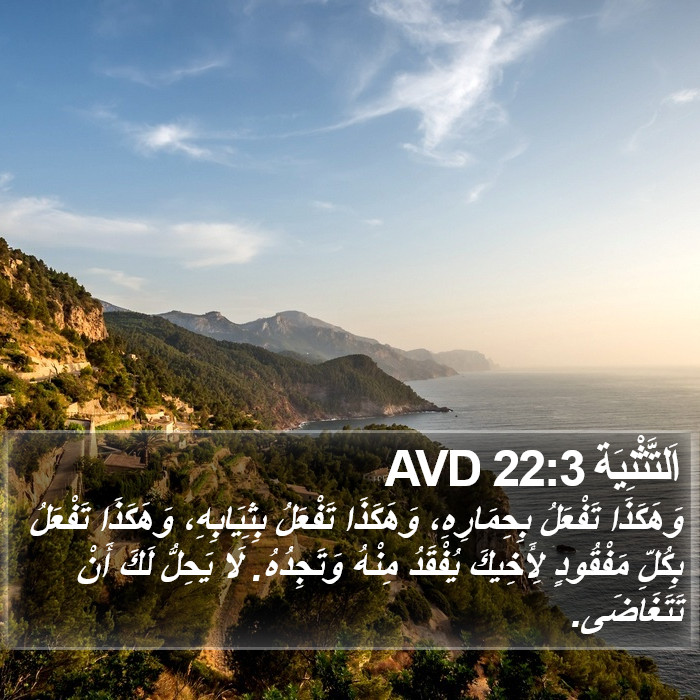 اَلتَّثْنِيَة 22:3 AVD Bible Study