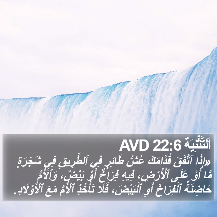 اَلتَّثْنِيَة 22:6 AVD Bible Study