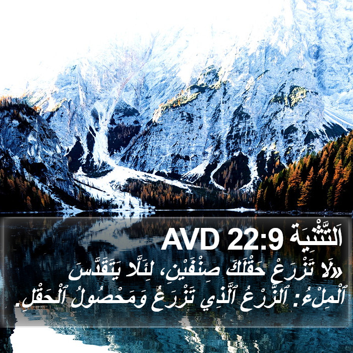 اَلتَّثْنِيَة 22:9 AVD Bible Study
