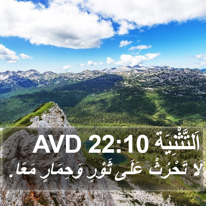 اَلتَّثْنِيَة 22:10 AVD Bible Study