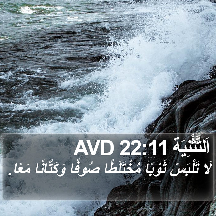 اَلتَّثْنِيَة 22:11 AVD Bible Study