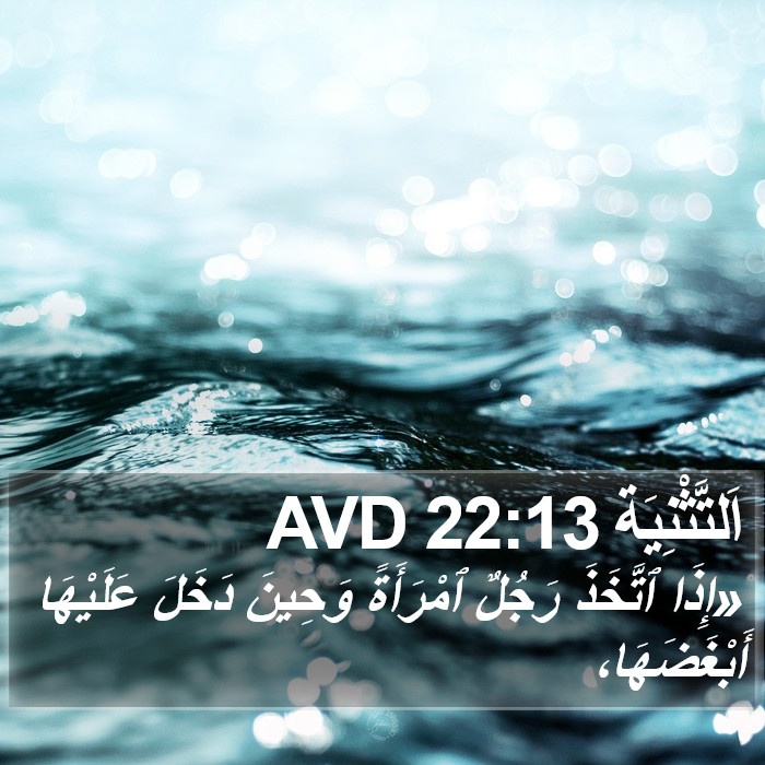 اَلتَّثْنِيَة 22:13 AVD Bible Study
