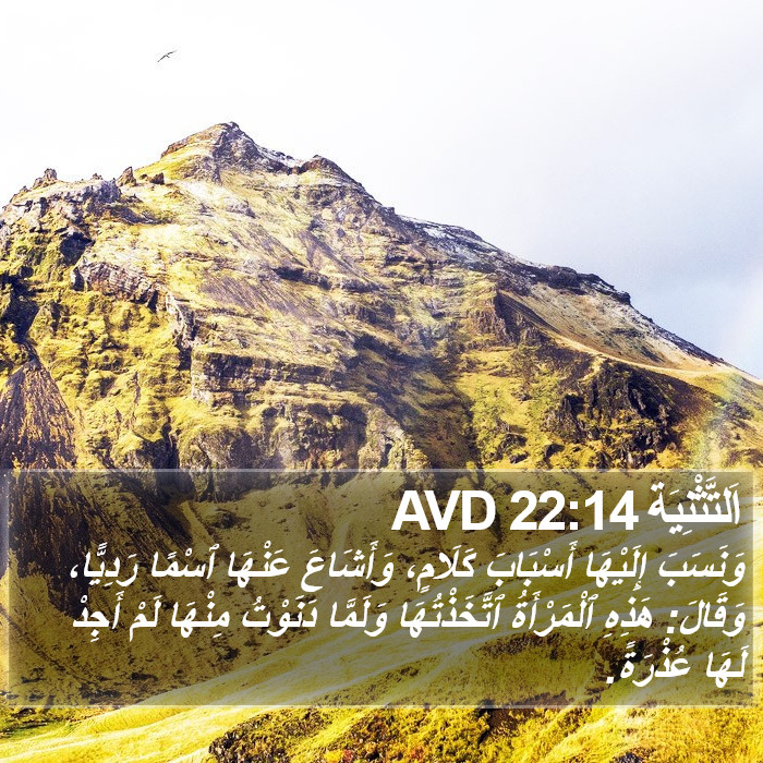 اَلتَّثْنِيَة 22:14 AVD Bible Study