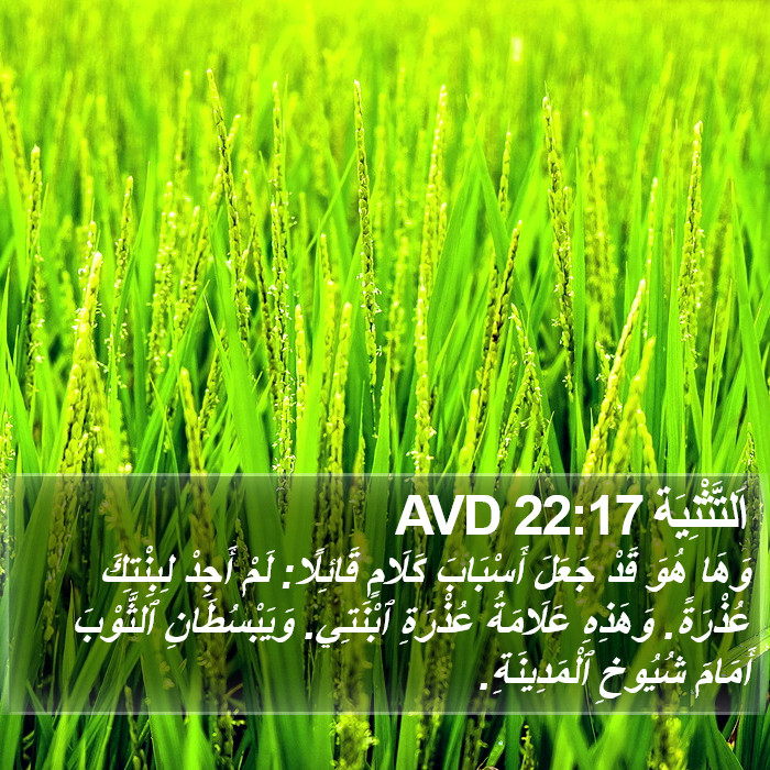 اَلتَّثْنِيَة 22:17 AVD Bible Study