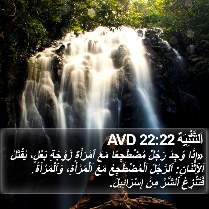 اَلتَّثْنِيَة 22:22 AVD Bible Study