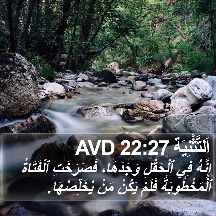 اَلتَّثْنِيَة 22:27 AVD Bible Study