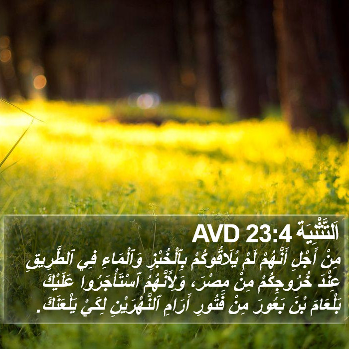 اَلتَّثْنِيَة 23:4 AVD Bible Study