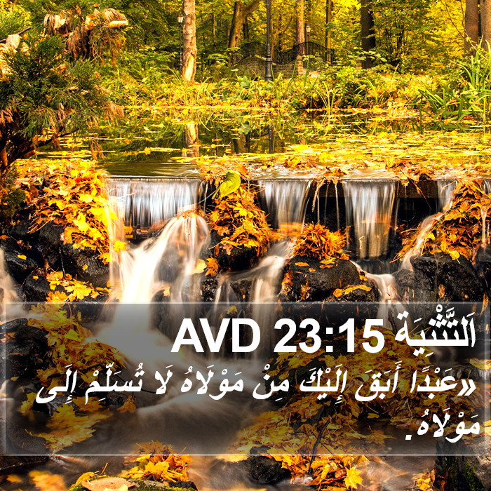 اَلتَّثْنِيَة 23:15 AVD Bible Study