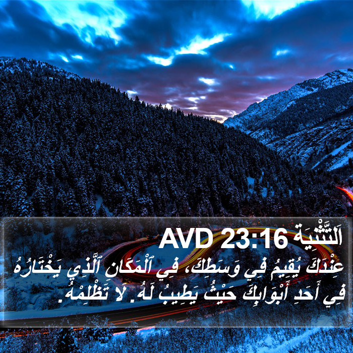 اَلتَّثْنِيَة 23:16 AVD Bible Study