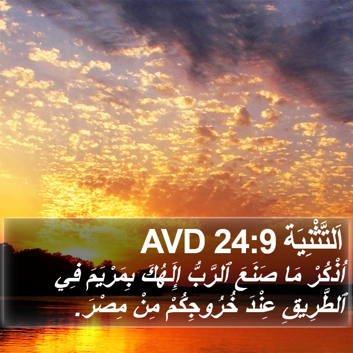 اَلتَّثْنِيَة 24:9 AVD Bible Study