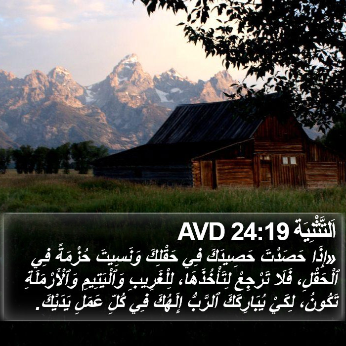 اَلتَّثْنِيَة 24:19 AVD Bible Study