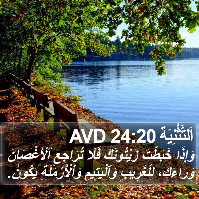 اَلتَّثْنِيَة 24:20 AVD Bible Study