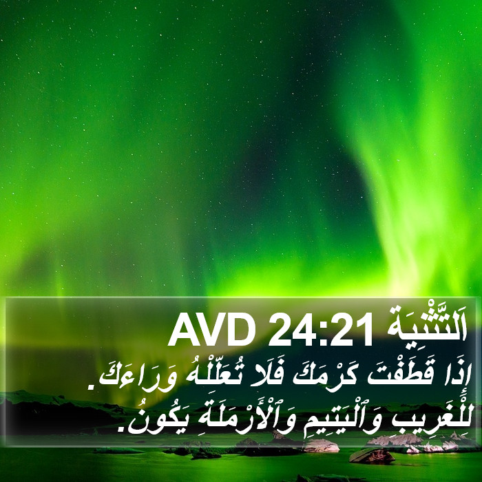 اَلتَّثْنِيَة 24:21 AVD Bible Study