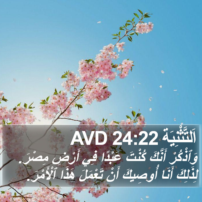 اَلتَّثْنِيَة 24:22 AVD Bible Study
