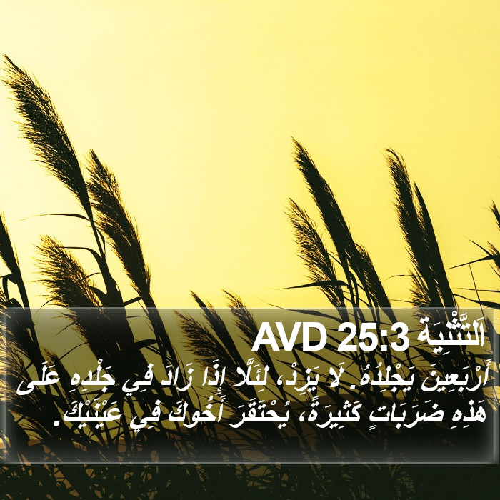 اَلتَّثْنِيَة 25:3 AVD Bible Study