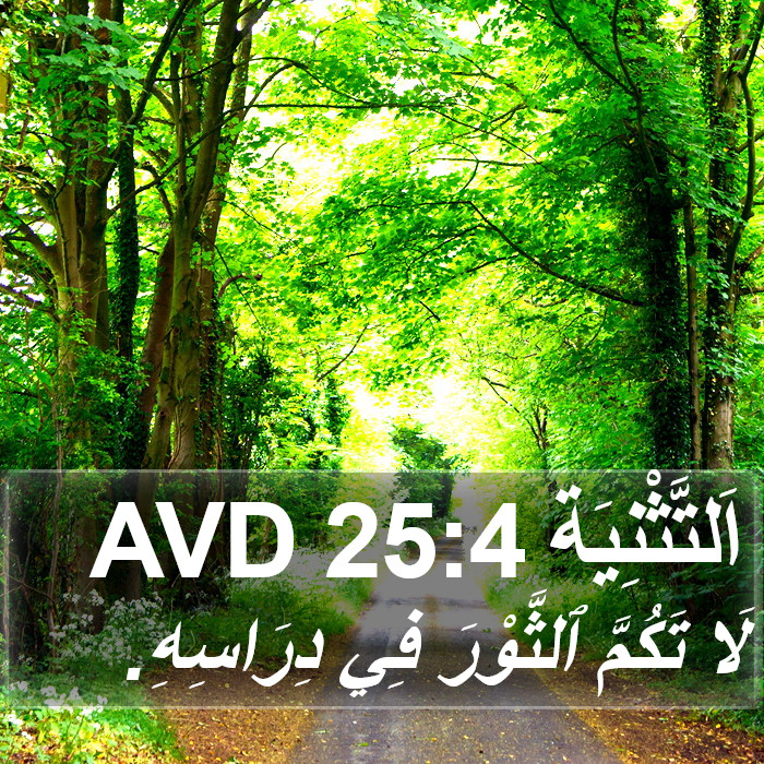 اَلتَّثْنِيَة 25:4 AVD Bible Study