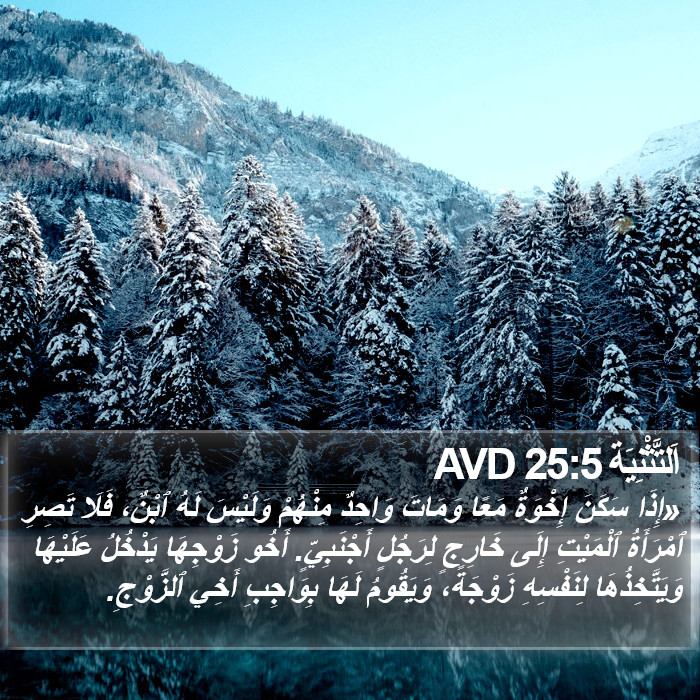اَلتَّثْنِيَة 25:5 AVD Bible Study