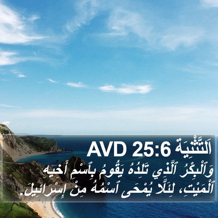 اَلتَّثْنِيَة 25:6 AVD Bible Study