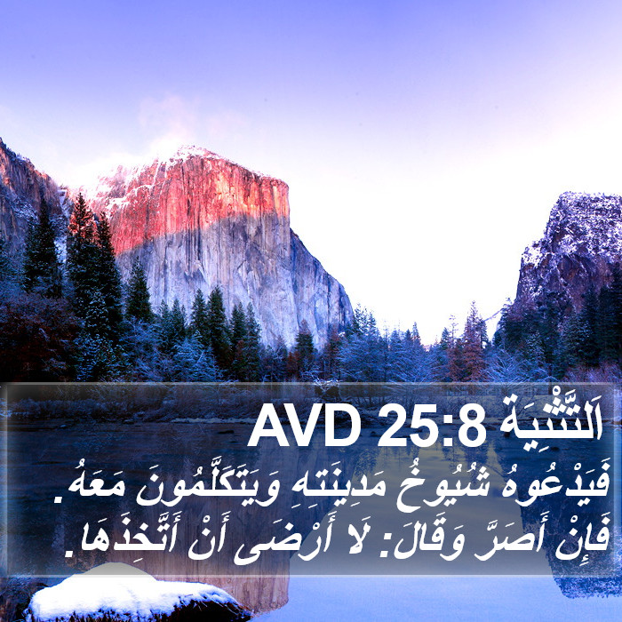 اَلتَّثْنِيَة 25:8 AVD Bible Study