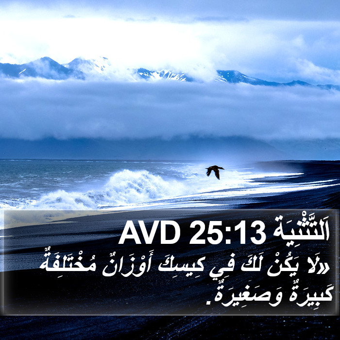 اَلتَّثْنِيَة 25:13 AVD Bible Study