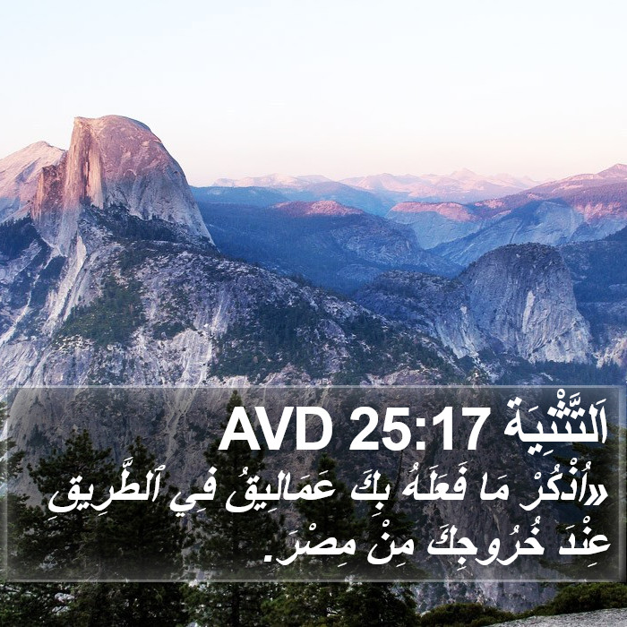 اَلتَّثْنِيَة 25:17 AVD Bible Study