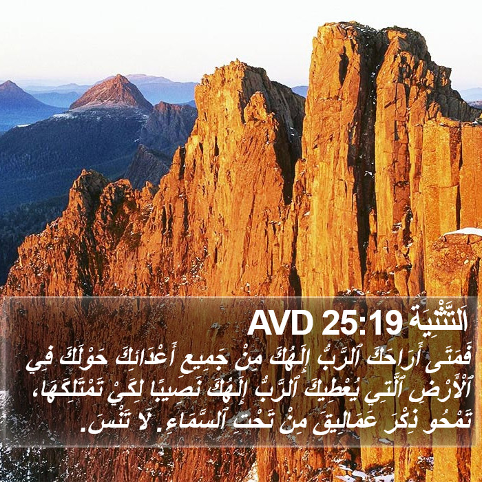 اَلتَّثْنِيَة 25:19 AVD Bible Study